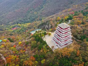 宿州的熱門遊賞秋景好去處