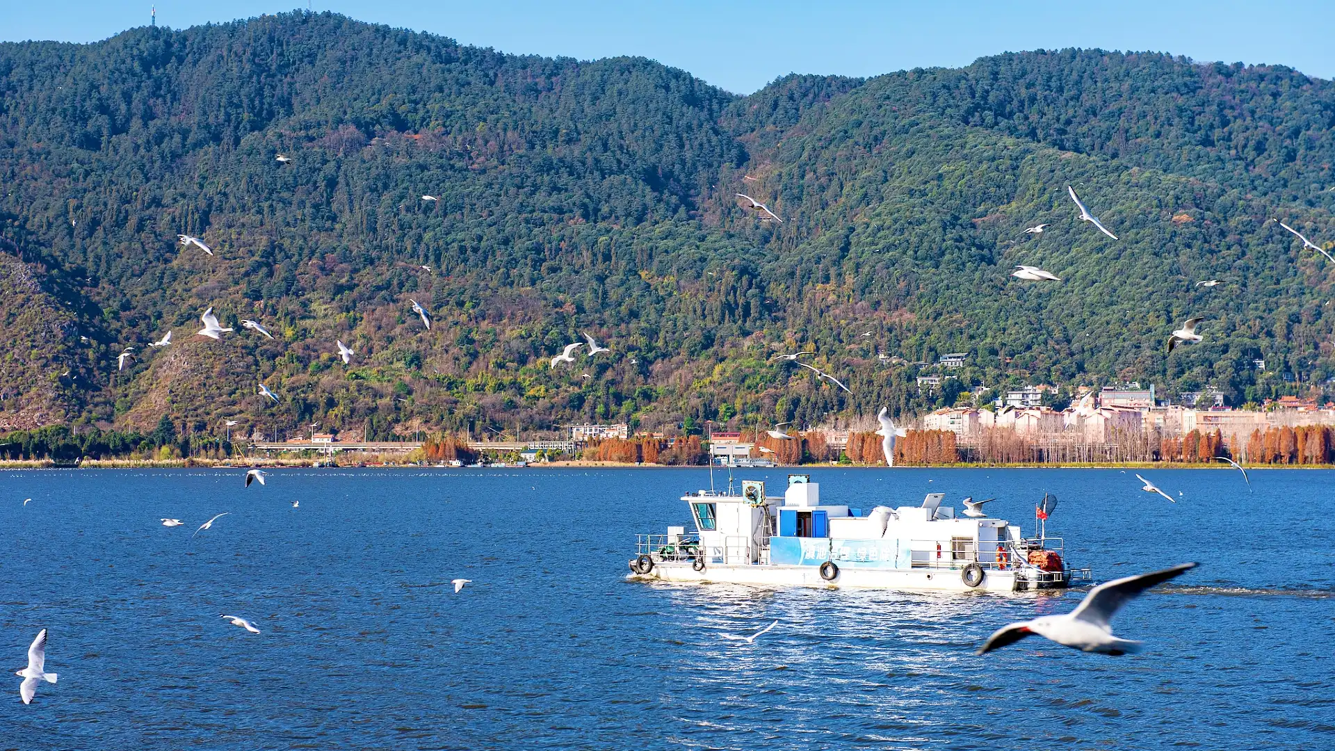 Hotels near Dianchi Cruise