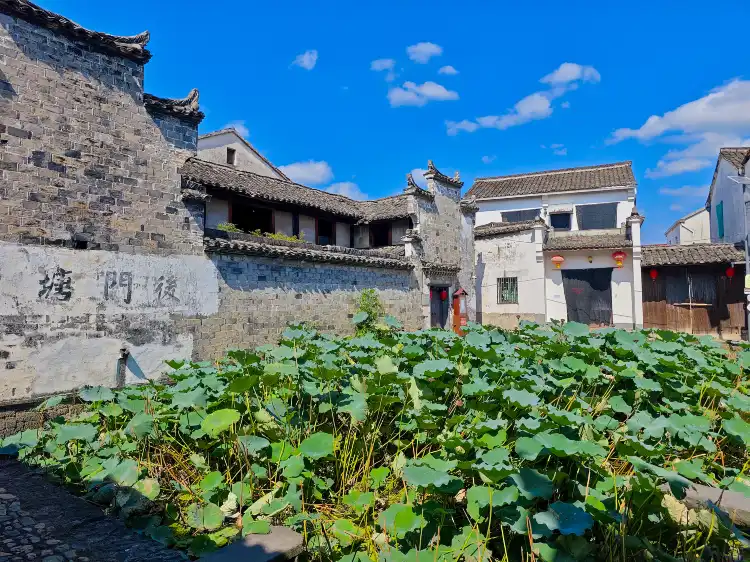 Shengzhou