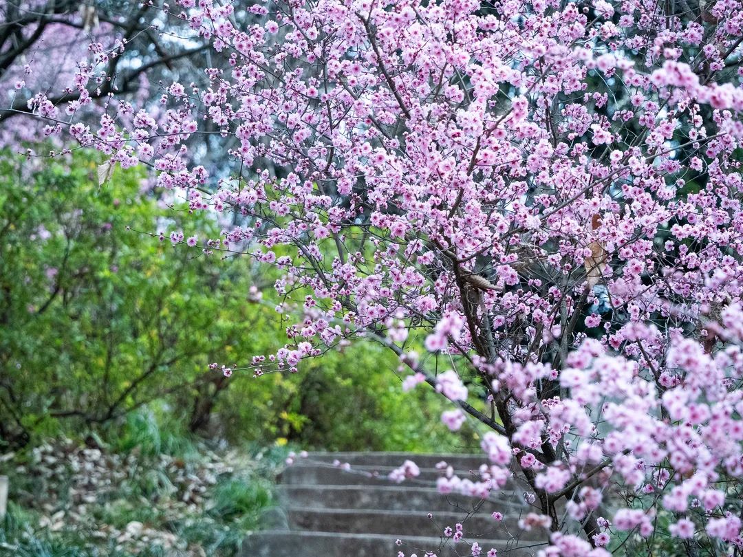 3_Black Dragon Pool Park