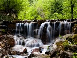 Hegang National Forest Park