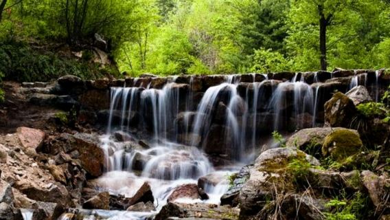 Hegang National Forest Park