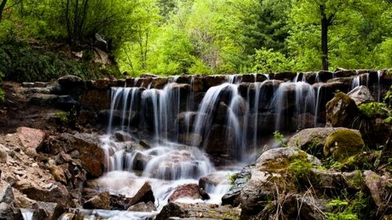 Hegang National Forest Park
