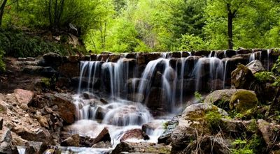 Hegang National Forest Park