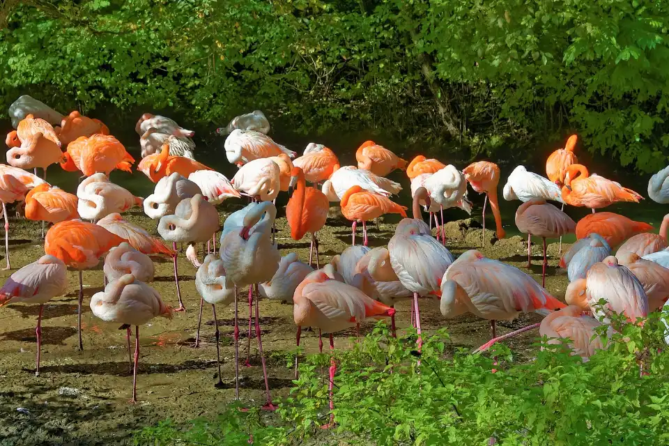 2_Hellabrunn Zoo