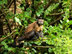 Zoo di Wellington