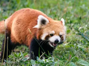 Qingdao Zoo