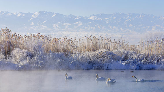 Tian'equan Wetland Park