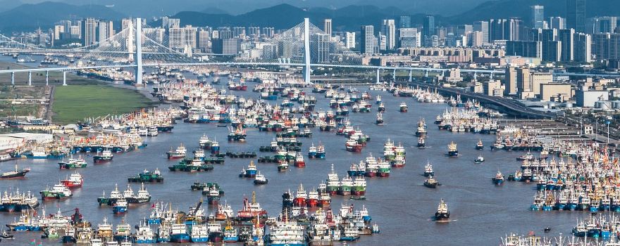 Shenjiamen Fishing Port