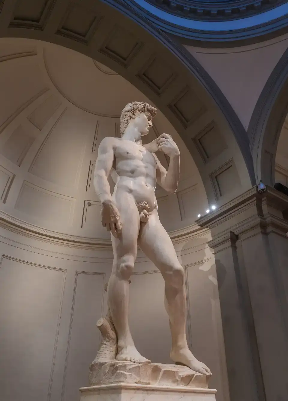 3_David