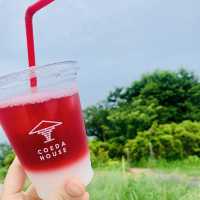 【熱海】COEDA HOUSE 