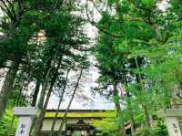 高野山はけっこう涼しい