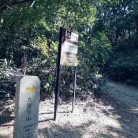 耗體力之行：大埔頭去流水響