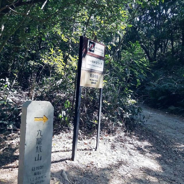 耗體力之行：大埔頭去流水響