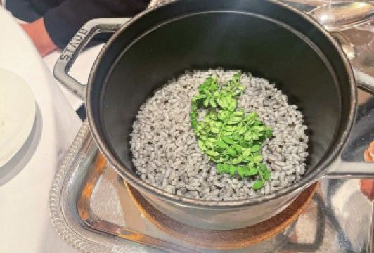 莫里哀用戶圖片