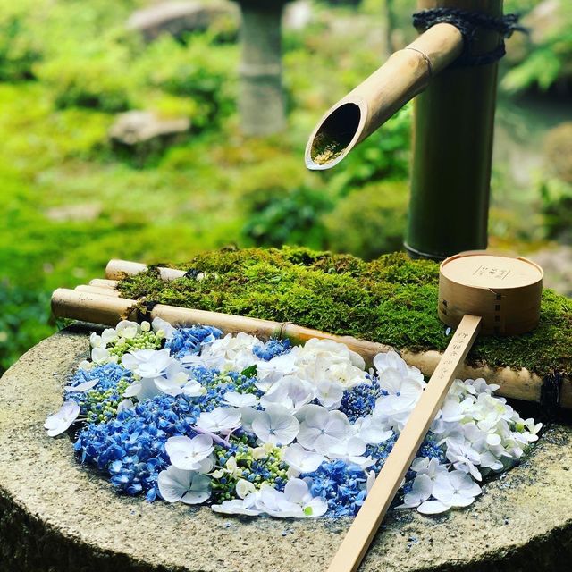 京都　柳谷観音　花手水