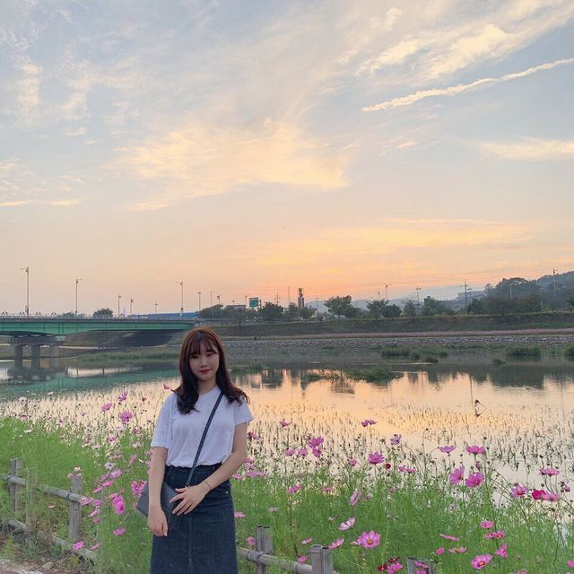 꽃으로 힐링해요