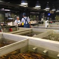 Addiction Aquatic Development User Photo