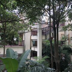 InterContinental Xishuangbanna Resort manlinxuanzhongzanting User Photo