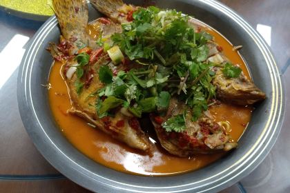 河塘月色生态餐厅(青龙乡川藏线店)