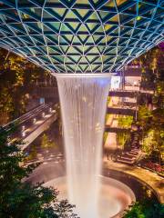 Canopy Park - Jewel Changi