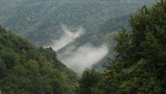 Mianxuling Scenic Area