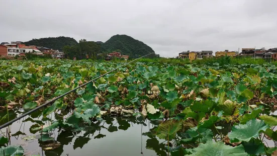 老彝族小土橋飯店