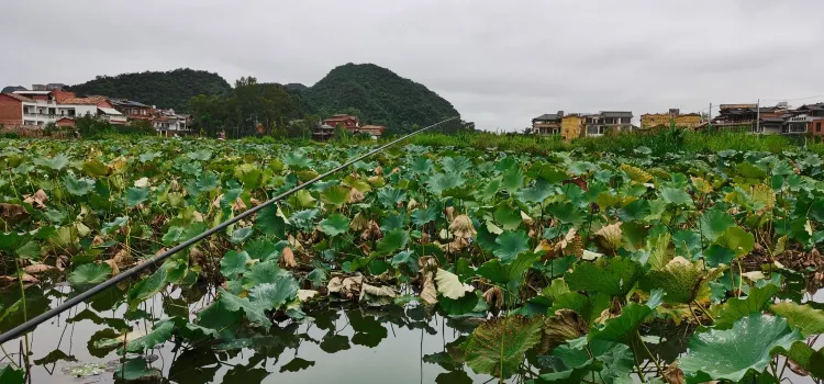 老彝族小土橋飯店