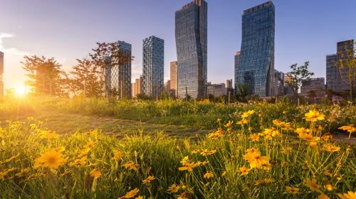 Songdo Central Park