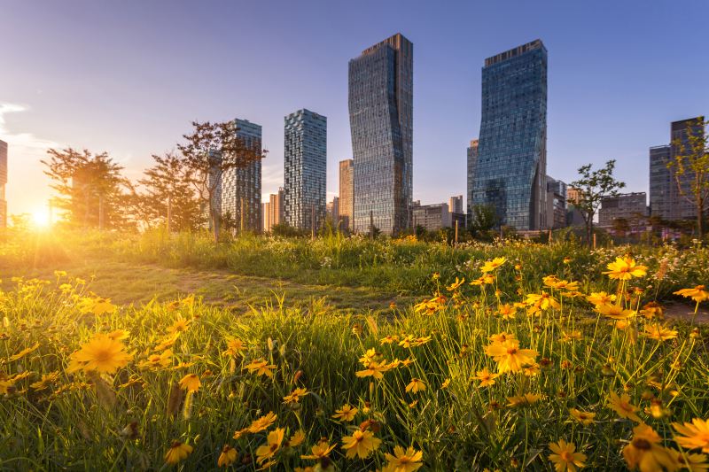 송도 센트럴파크