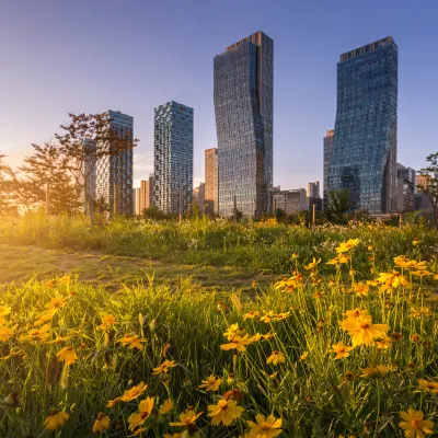 Khách Sạn Business travel Tại Incheon