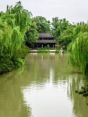 Flower Admiring Of Slender West Lake