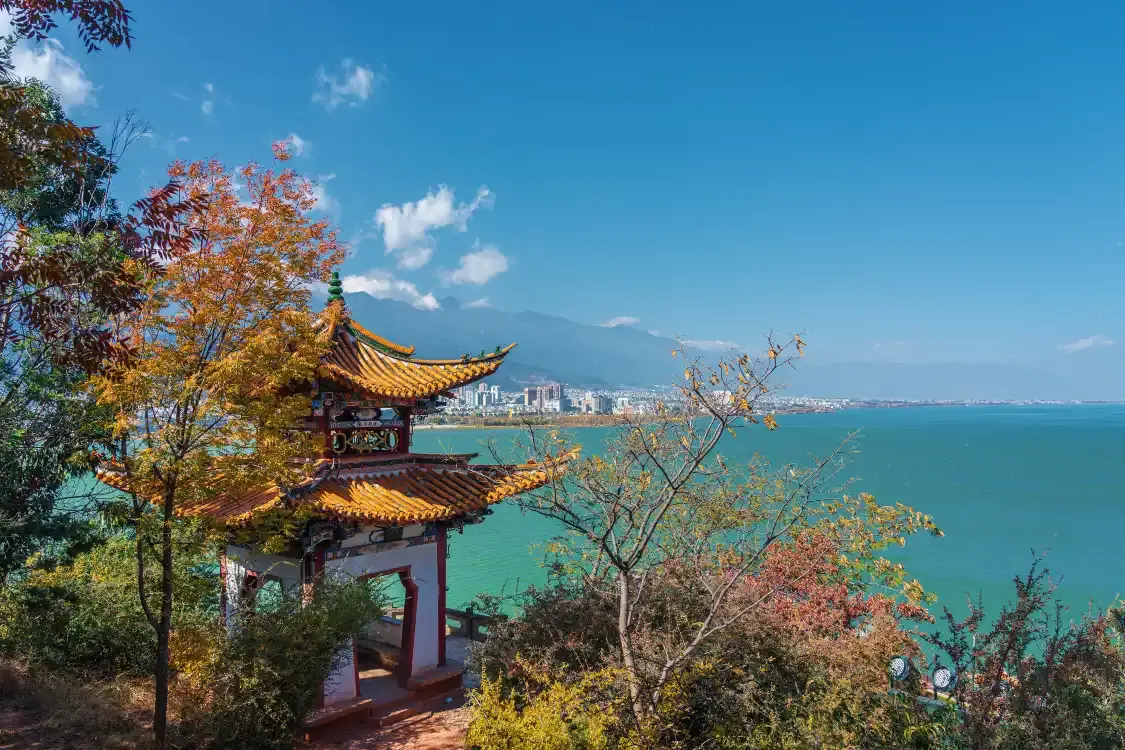 단산 공원 주변 호텔