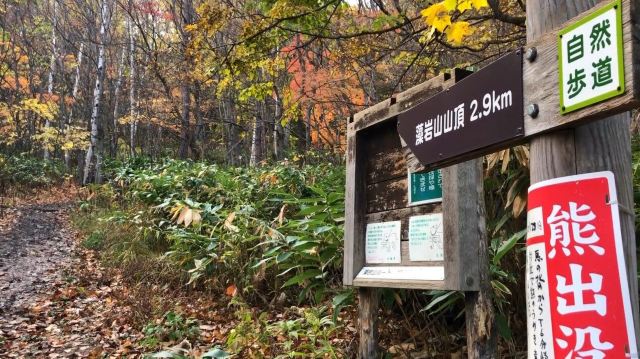 모이와산