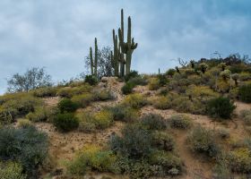 Hotels near Phoenix Premium Outlets