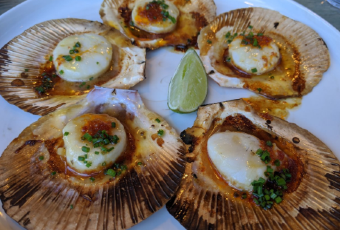 FLYING FISH User Photo