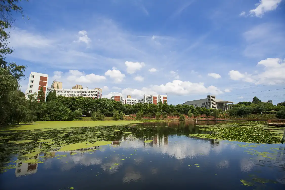 Hotel in zona Huazhong University of Science and Technology Wenhua College