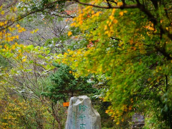 Yinping Ancient Path