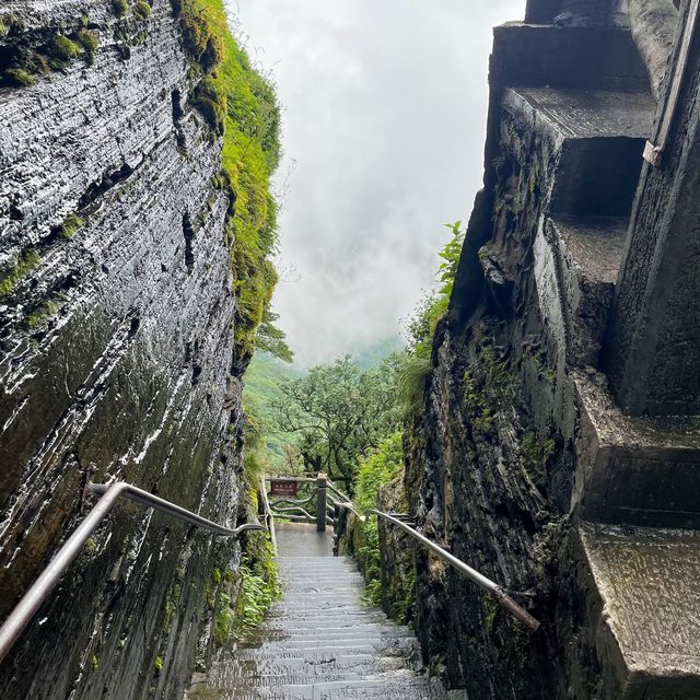 Guizhou - Tongren - Mount Fanjing 