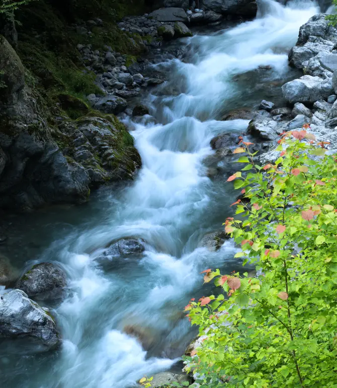 Okutama