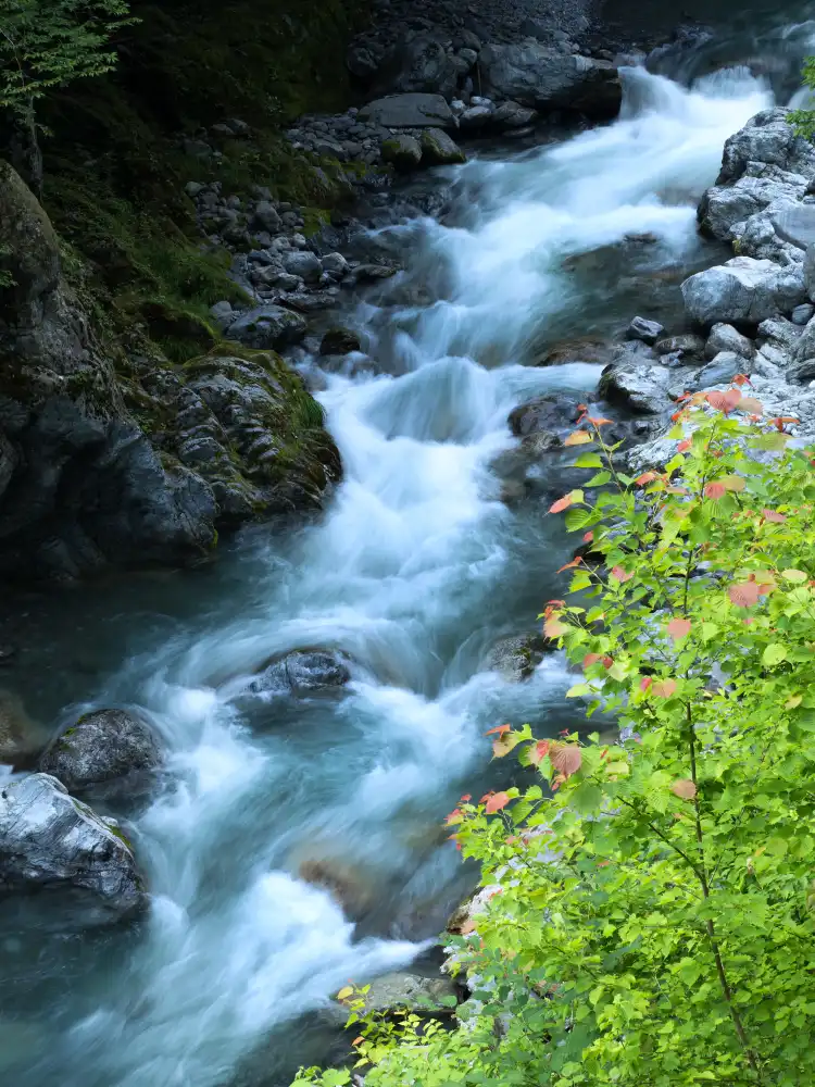 Hotels in Okutama