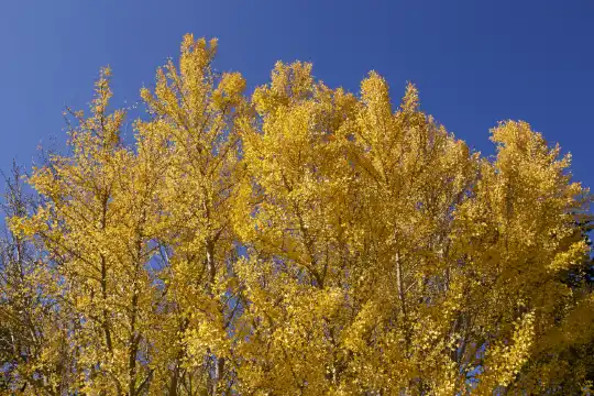 Hotels near 曹洞宗 水路山 随昌院