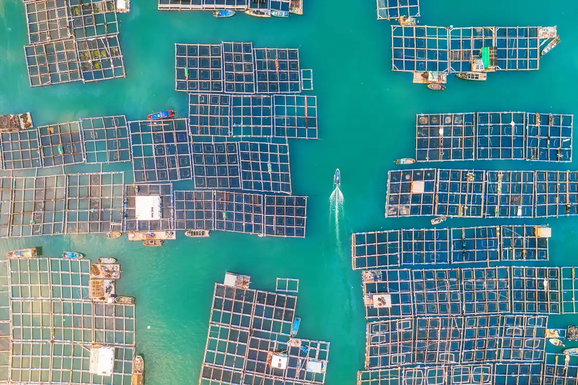 Hotels near Shanwei Port