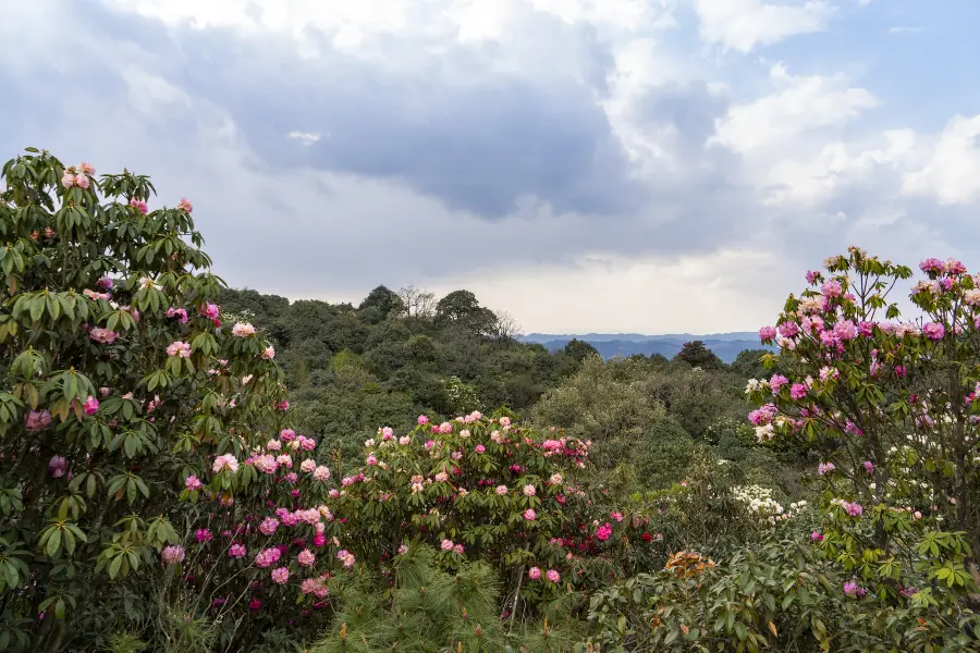 Yingwu Mountain