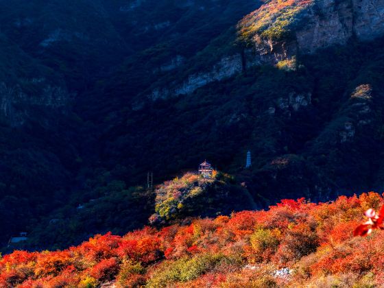 幽山風景区