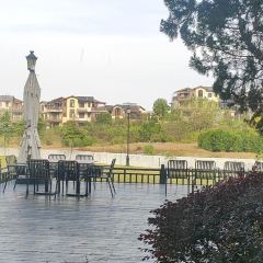 湖北咸宁碧桂园凤凰温泉酒店餐厅 User Photo