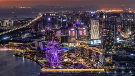 Recorrido privado de un día por Shenzhen: Centro comercial Ping An, noria de la Bahía, casco antiguo de Nantou, calle Zhongying