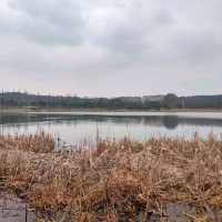 Attractive natural lake and park