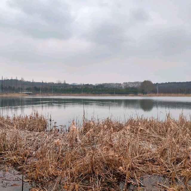 Attractive natural lake and park