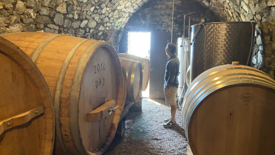 Maison Agricole D&D di Dellio Daniela